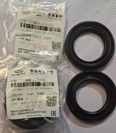 کاسه نمد دیفرانسیل چپ آریزو 5 _ X22 اتومات _ 315 پلاس شرکتی کاسه نمد دیفرانسیل چپ آریزو 5 _ X22 اتومات _ 315 پلاس شرکتی